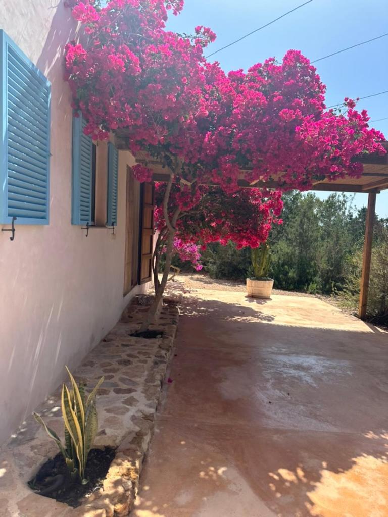 Villa Casa Rustick San Francisco Javier Exterior foto